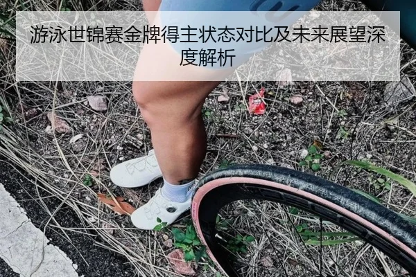 游泳世锦赛金牌得主状态对比及未来展望深度解析